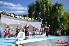 “旅居云南”小程序发布 整合逾120个旅居目的地资源